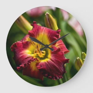 Daylily "Dragon King" Grote Klok