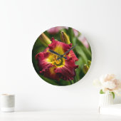 Daylily "Dragon King" Grote Klok (Huis)