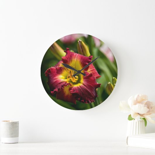 Daylily "Dragon King" Grote Klok (Huis)