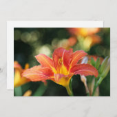 Daylily Flower Flat Dank u kaart (Voorkant / Achterkant)