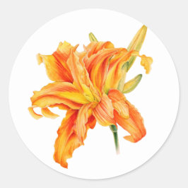 Daylily Hemerocallis floral oranje stickers