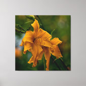 Daylily "Jersey Spider" Canvas Afdruk (Voorkant)