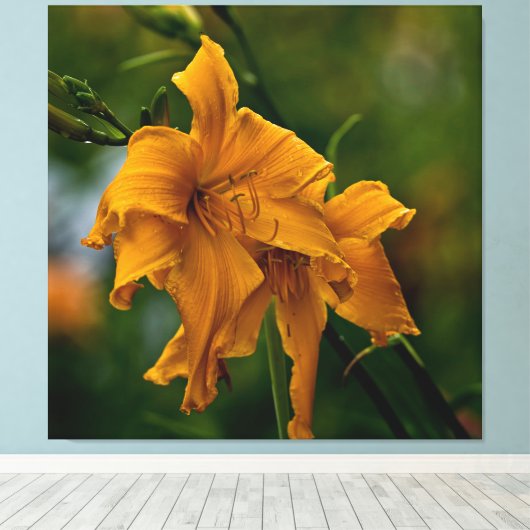 Daylily "Jersey Spider" Canvas Afdruk (Insitu (Houten vloer))