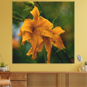 Daylily "Jersey Spider" Canvas Afdruk (Insitu (Woonkamer))