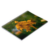 Daylily "Jersey Spider" Notitieboek (Linkerzijde)