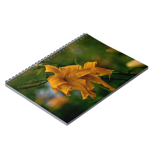 Daylily "Jersey Spider" Notitieboek (Linkerzijde)