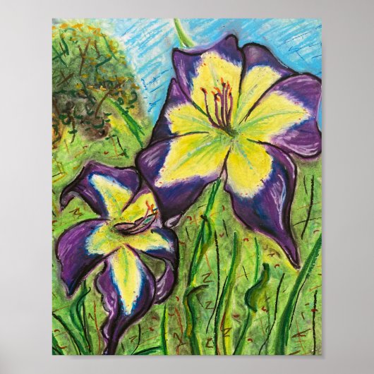 Daylily "Laura Harwood" Poster (Voorkant)