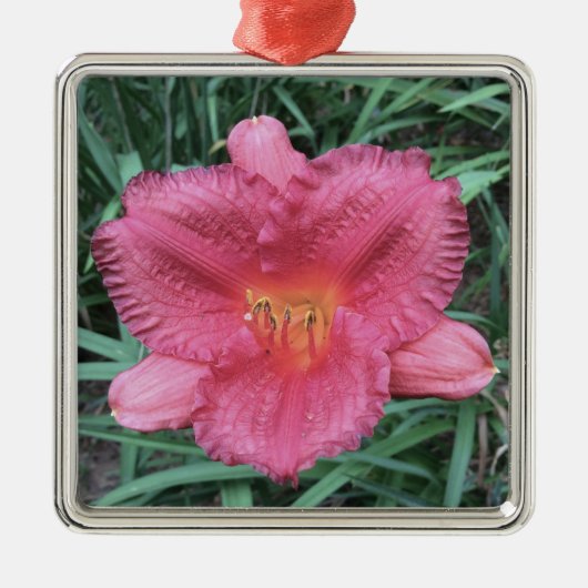DAYLILY "Little Fat Dazzler" Metalen Ornament (Voorkant)