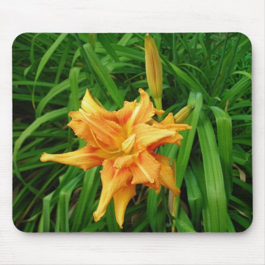 Daylily mousepad muismat (Voorkant)
