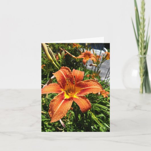 Daylily Notecards Kaart (Voorkant)