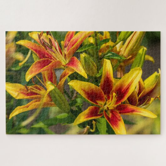 Daylily Oranje Canadese Bloemfotografie Legpuzzel (Horizontaal)