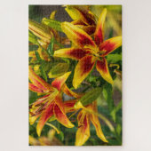 Daylily Oranje Canadese Bloemfotografie Legpuzzel (Verticaal)