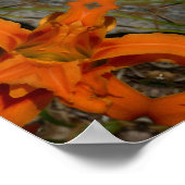 Daylily Oranje Mandala Poster (Hoek)