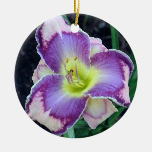 Daylily Ornament (Voorkant)