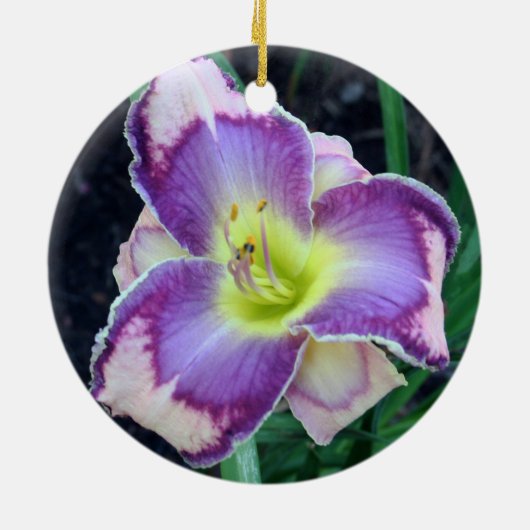 Daylily Ornament (Achterkant)