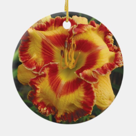 Daylily Ornament (Achterkant)