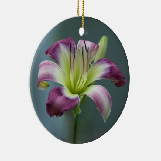 Daylily Ornament (Rechts)