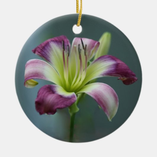 Daylily Ornament (Voorkant)