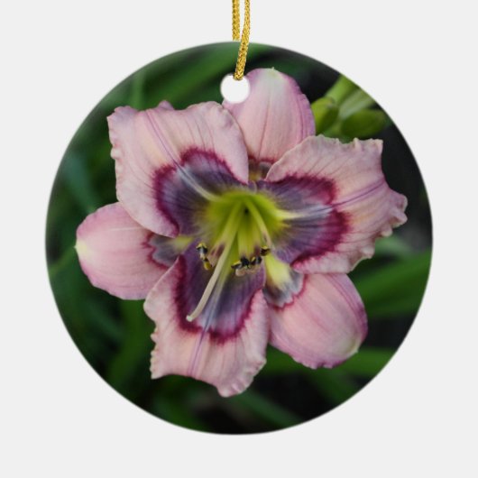 Daylily Ornament (Voorkant)