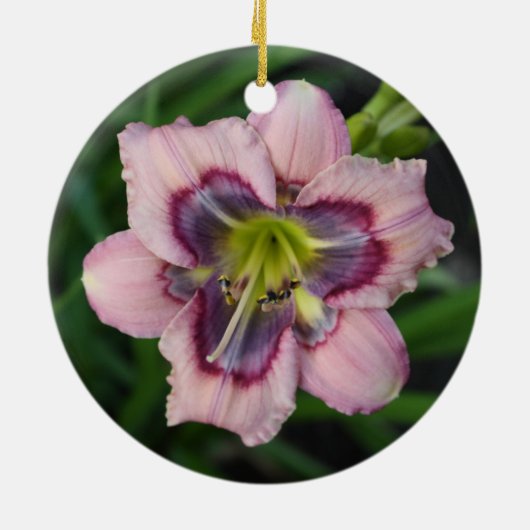 Daylily Ornament (Achterkant)