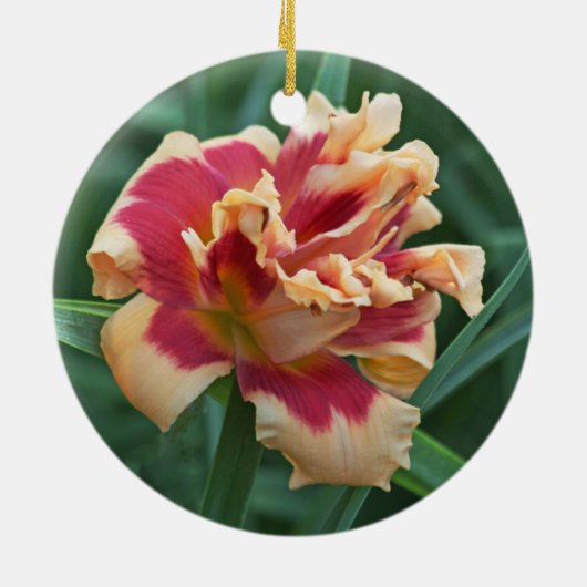 Daylily Ornament (Achterkant)