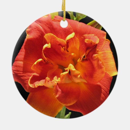 Daylily Ornament (Achterkant)