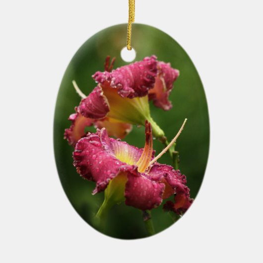 Daylily Ornament (Voorkant)