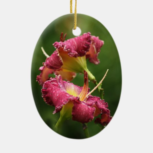 Daylily Ornament (Achterkant)