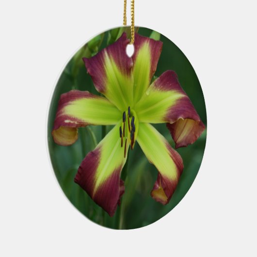 Daylily Ornament (Rechts)