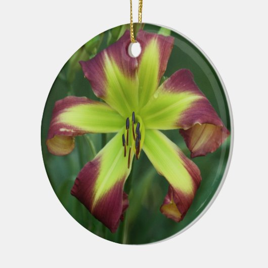 Daylily Ornament (Links)