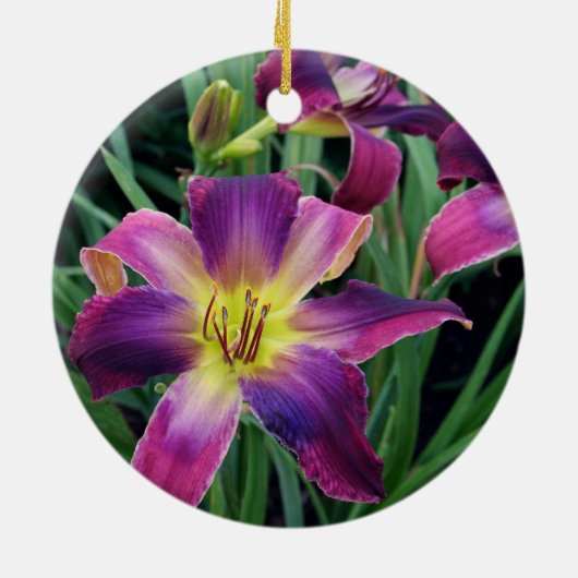 Daylily Ornament (Achterkant)