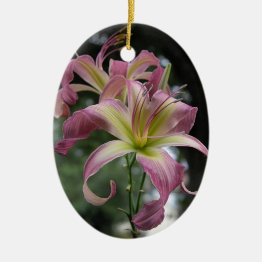 Daylily Ornament (Voorkant)