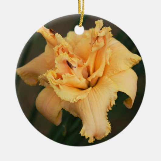 Daylily Ornament (Voorkant)