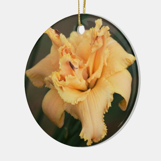 Daylily Ornament (Links)