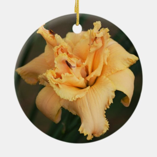 Daylily Ornament (Achterkant)