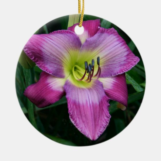 Daylily Ornament (Voorkant)
