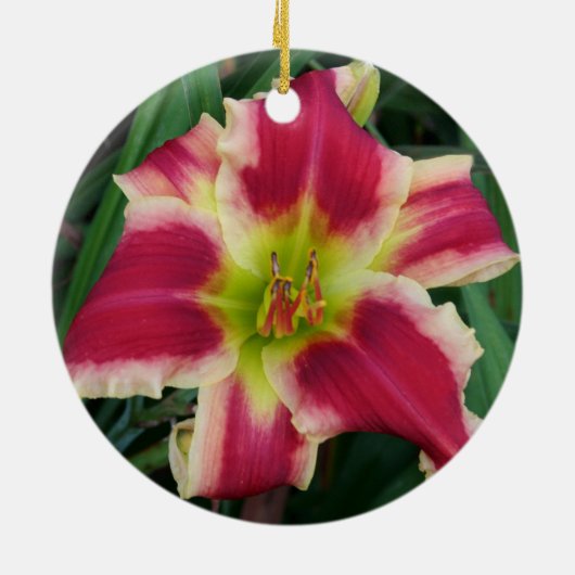 Daylily Ornament (Achterkant)