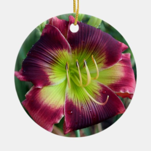 Daylily Ornament (Voorkant)