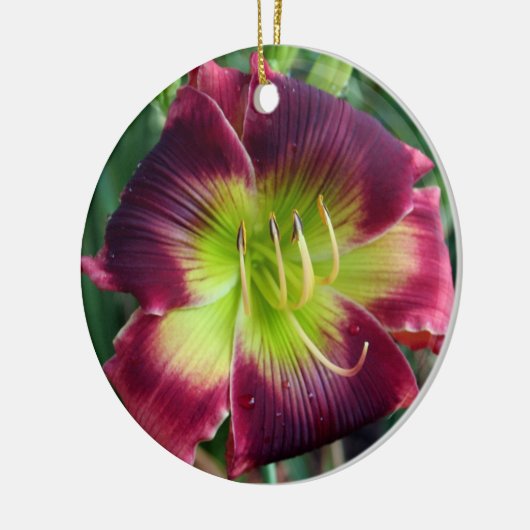 Daylily Ornament (Links)