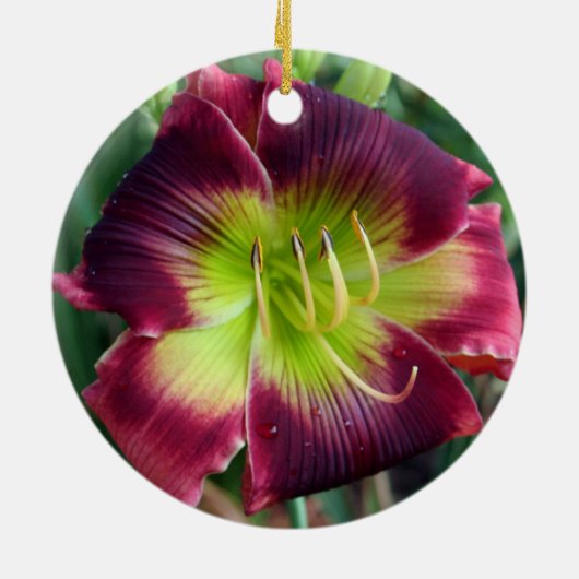Daylily Ornament (Achterkant)