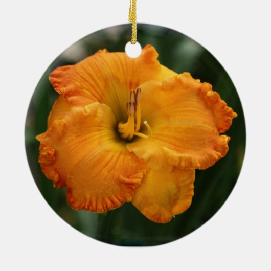 Daylily Ornament (Achterkant)