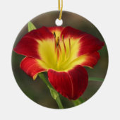 Daylily Ornament (Voorkant)