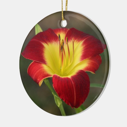Daylily Ornament (Links)