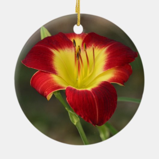 Daylily Ornament (Achterkant)