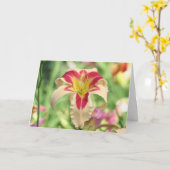 Daylily 'Patricia Snider Memorial' Kaart (Gele Bloem)