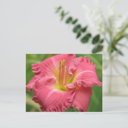 Daylily Pink Briefkaart (Staand voorkant)
