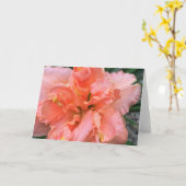 Daylily, 'Siloam Dubbele Classic Kaart (Gele Bloem)