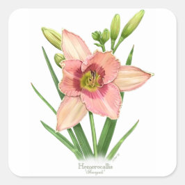 Daylily - Svengali Vierkante Sticker