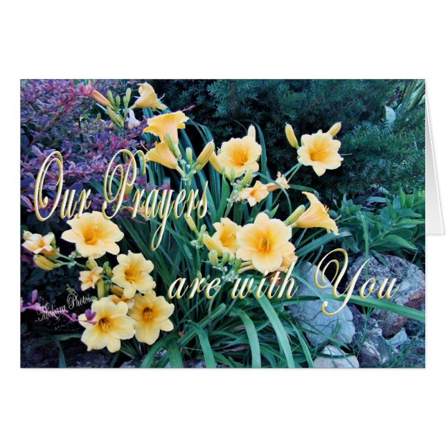DayLilyPrayer-kaart (Voorkant Horizontaal)