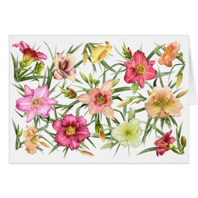 Daylivlies over de hele wereld (Voorkant Horizontaal)